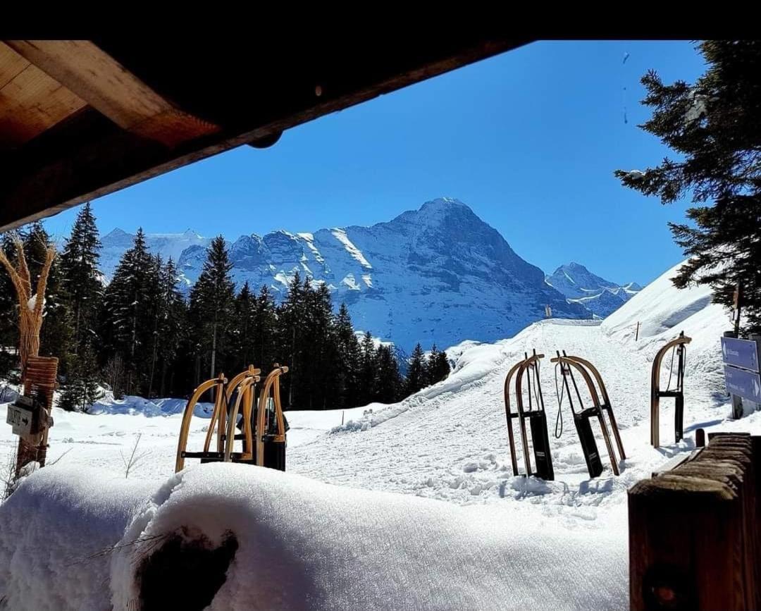 Ferienwohnung Talhaus Lauterbrunnen Exterior foto